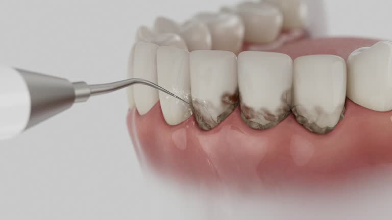 Reliable Dental contractor in Circleville, OH by Dentist Open Now